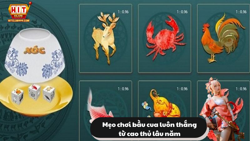 Người chơi nên đặt cược nhiều cửa để tăng khả năng thắng