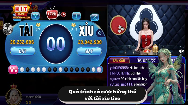 Học hỏi cách cá cược trong tài xỉu live